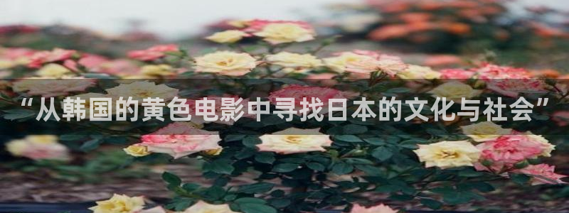 红桃影院电视剧在：“从韩国的黄色电影中寻找日本的文化与社会”