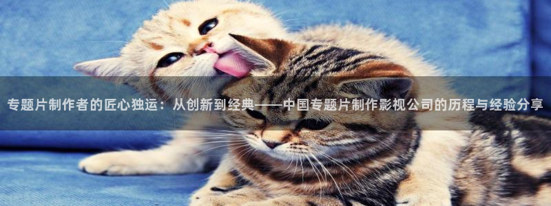 红桃高清影院：专题片制作者的匠心独运：从创新到经典——中国专题片制作影视公司的历程与经验分享