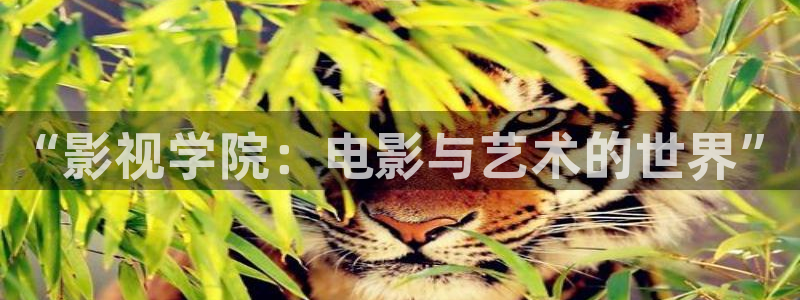 电影在线观看红桃
