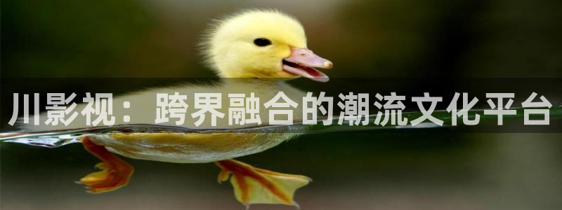 红桃影院免费观看电视剧在线观看