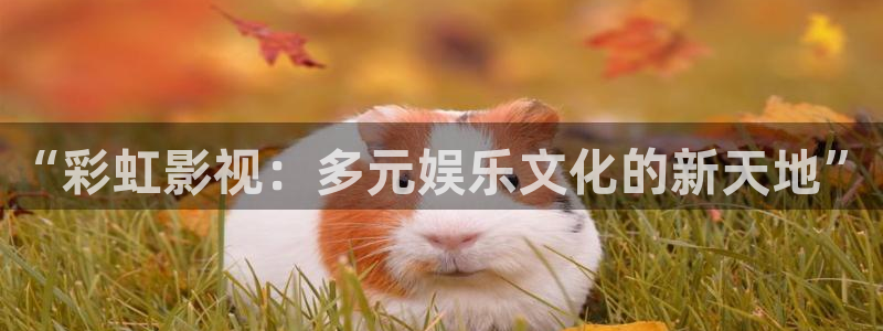 神马影院红桃影视